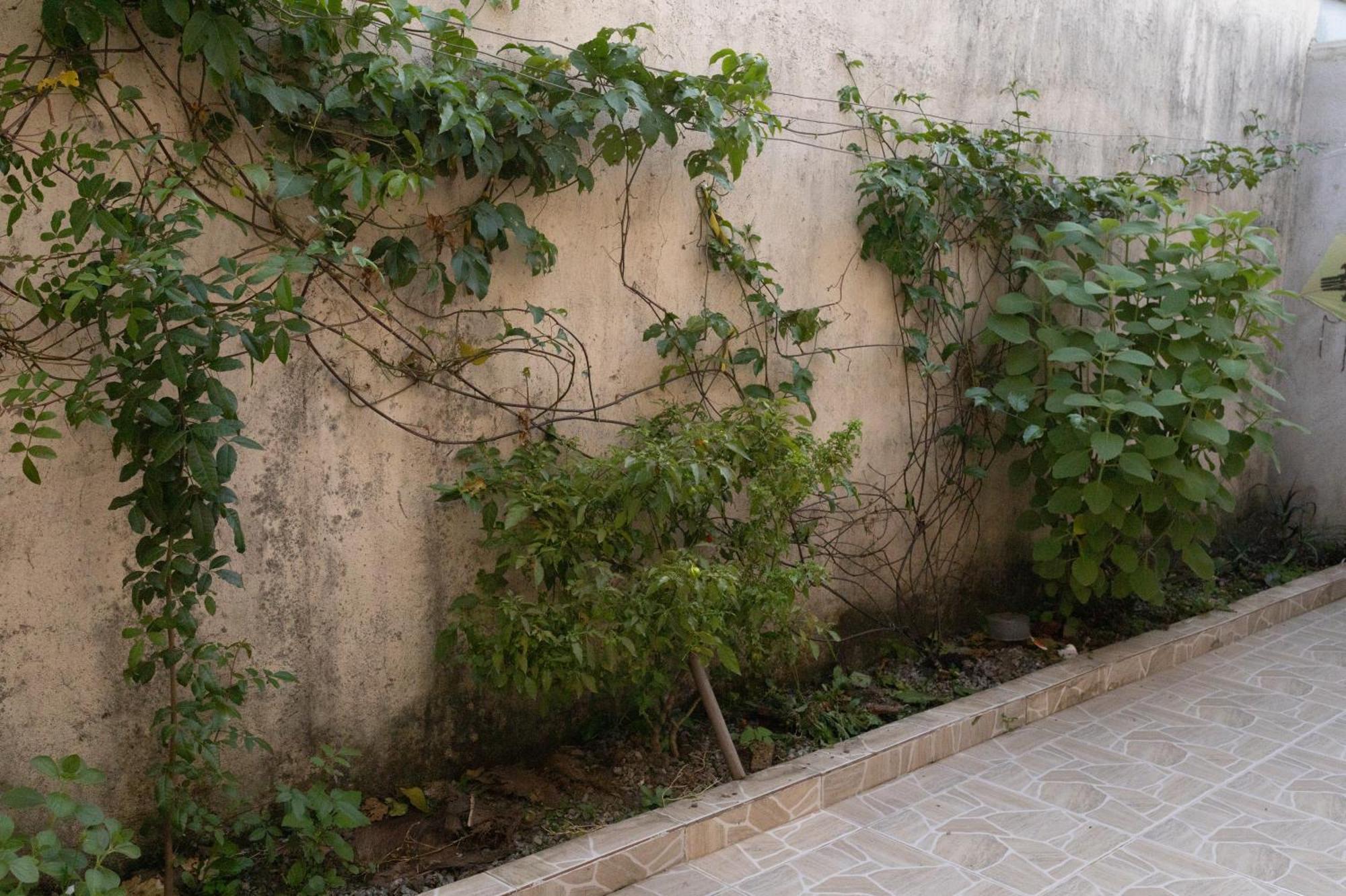 Recanto Maria Flor Casa 01 Γκουαρούχα Εξωτερικό φωτογραφία